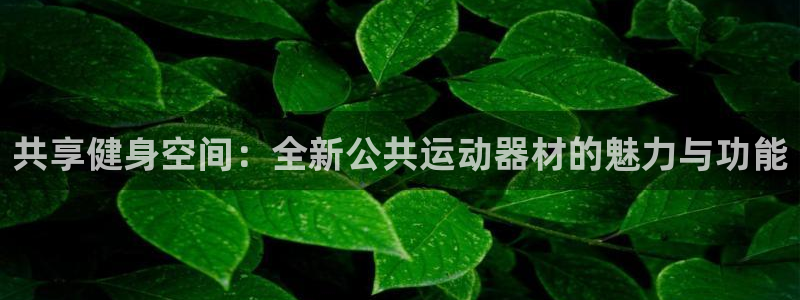 凯捷体育注册:共享健身空间:全新公共运动器材的魅力与功能